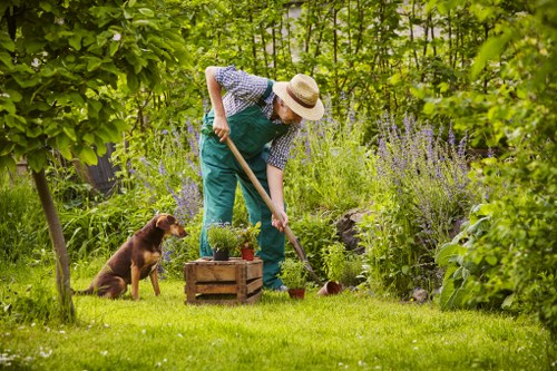 Tree surgeons working ethically under a modern slavery prevention policy