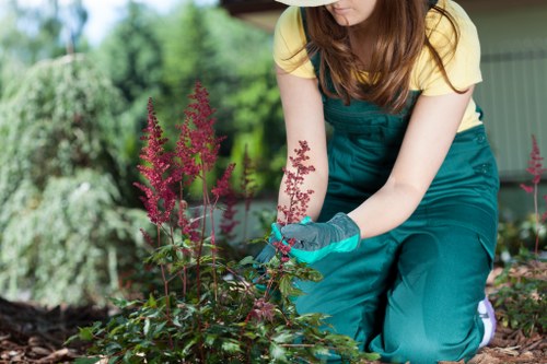 Professional arborist pruning branches in a residential setting