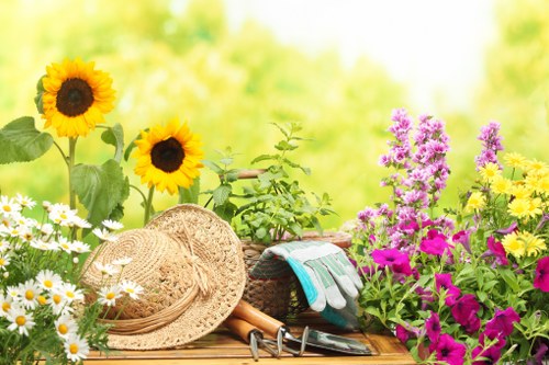 Stump grinding and tree removal service for homes and businesses in Southfields