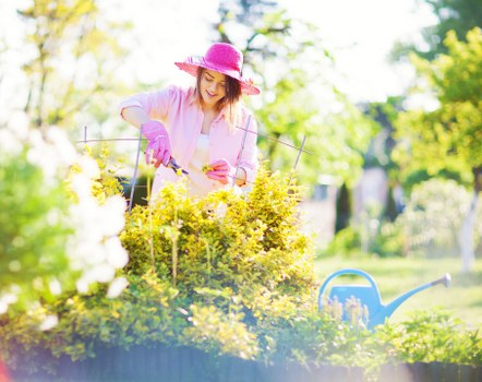 Southfields hedge maintenance for boundary hedges and front gardens