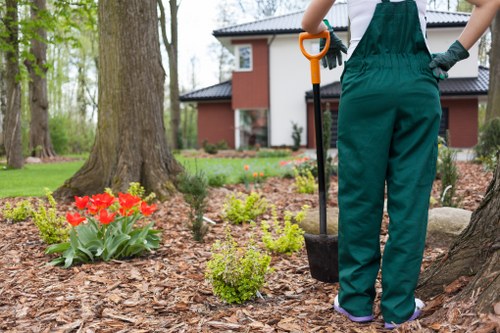 Annual review of ethical compliance in arboriculture services